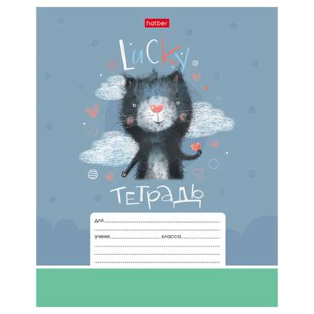 Тетрадь Hatber клетка 12 лист. в ассортименте