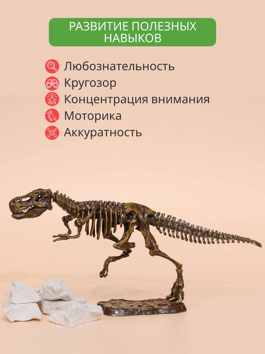 Набор для раскопок KONIK Science - фото 7