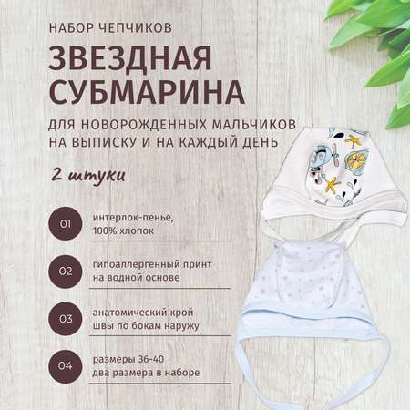 Чепчик 2 шт ALARYSPEOPLE