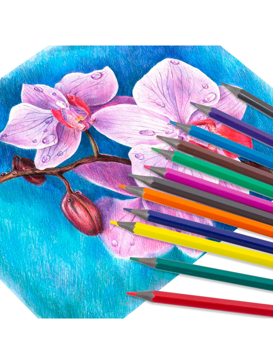 Карандаши цветные Пифагор 18 шт. - фото 13