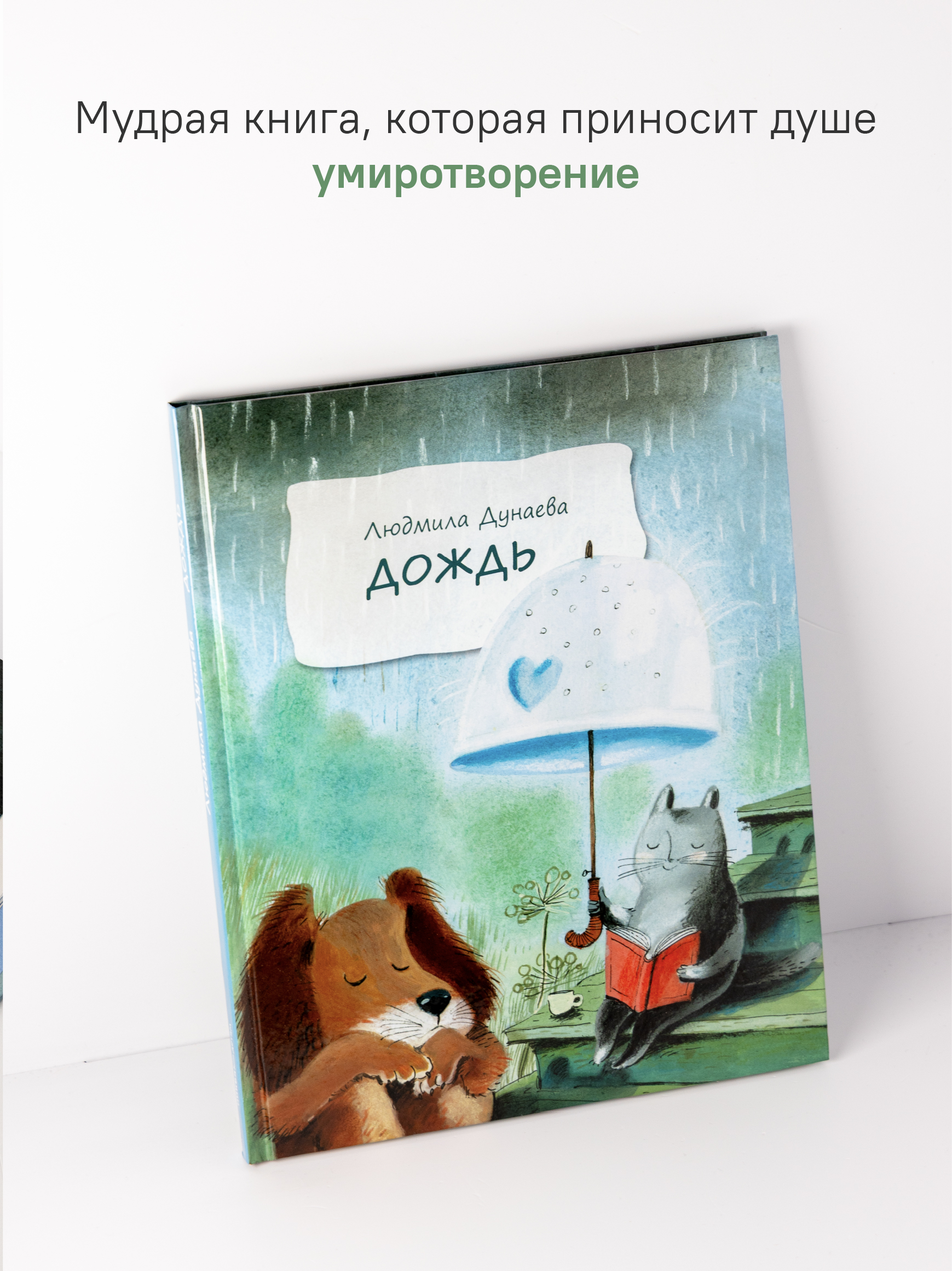 Дождь. Маленькая повесть Никея Книга для детей - фото 5