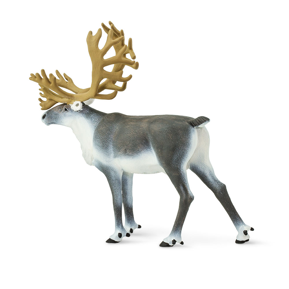 Фигурка Safari Ltd. Северный олень - фото 3