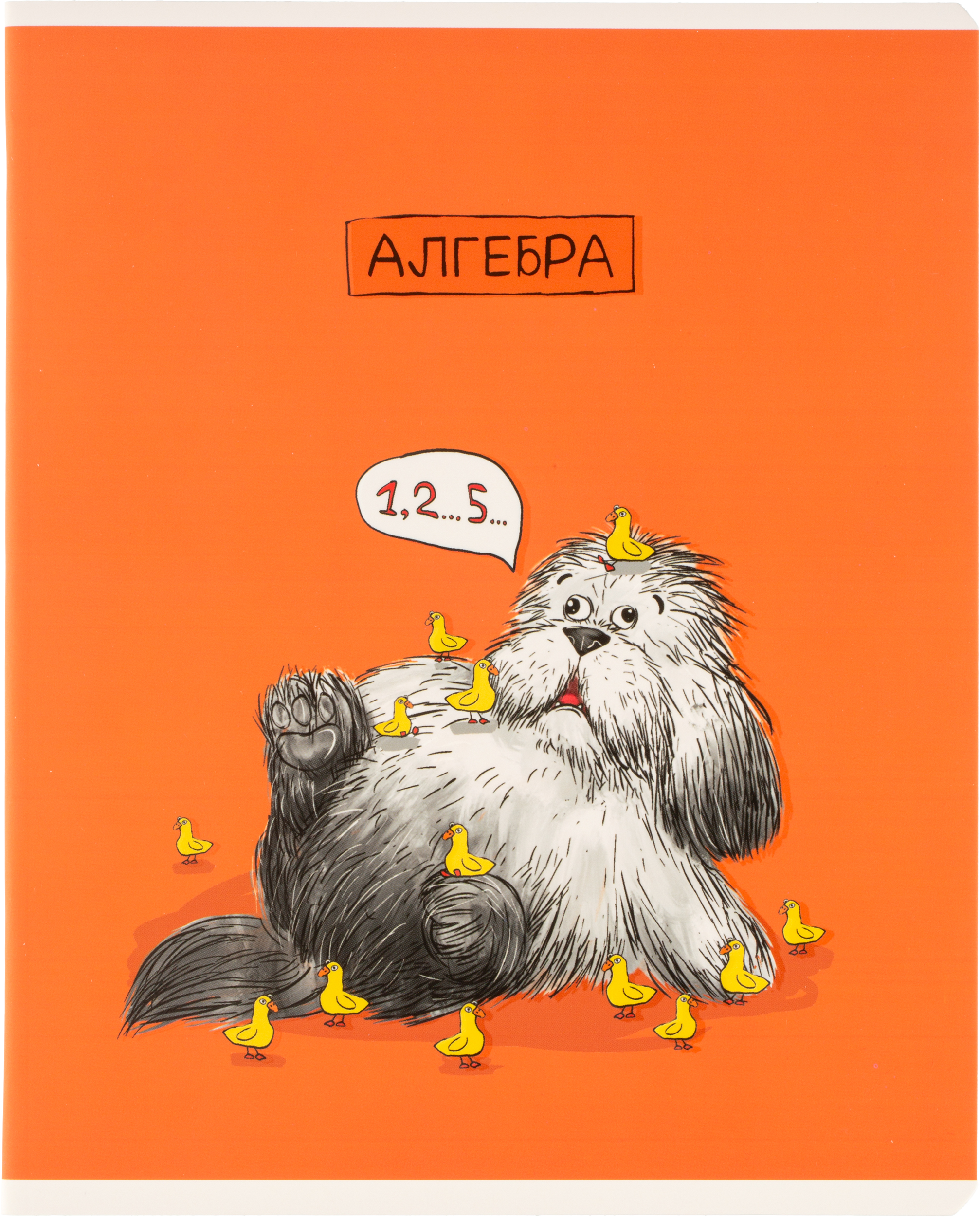 Тетрадь Комус клетка - фото 35