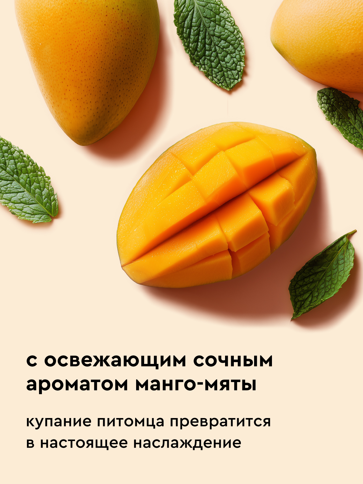 Шампунь очищающий Pamilee универсальный для кошек и собак - фото 5