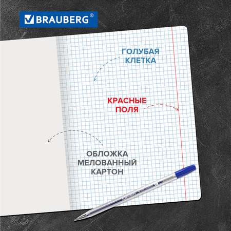 Тетрадь Brauberg клетка 12 лист. 20 шт.