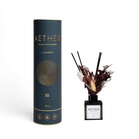 Диффузор с сухоцветами в Премиум тубусе Accents ⁠Tobacco & Bergamot