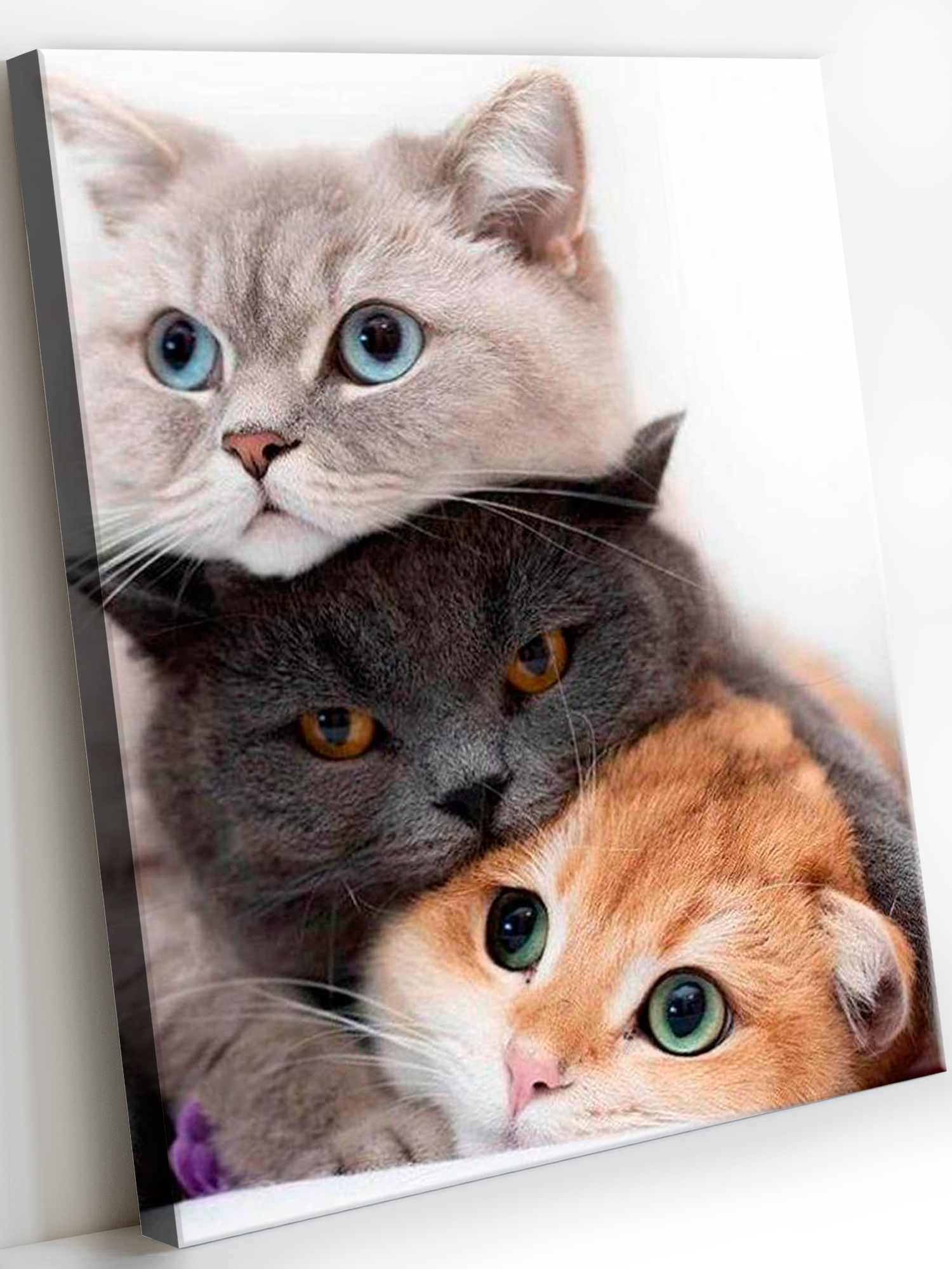 Алмазная мозаика Art on Canvas в ассортименте - фото 9
