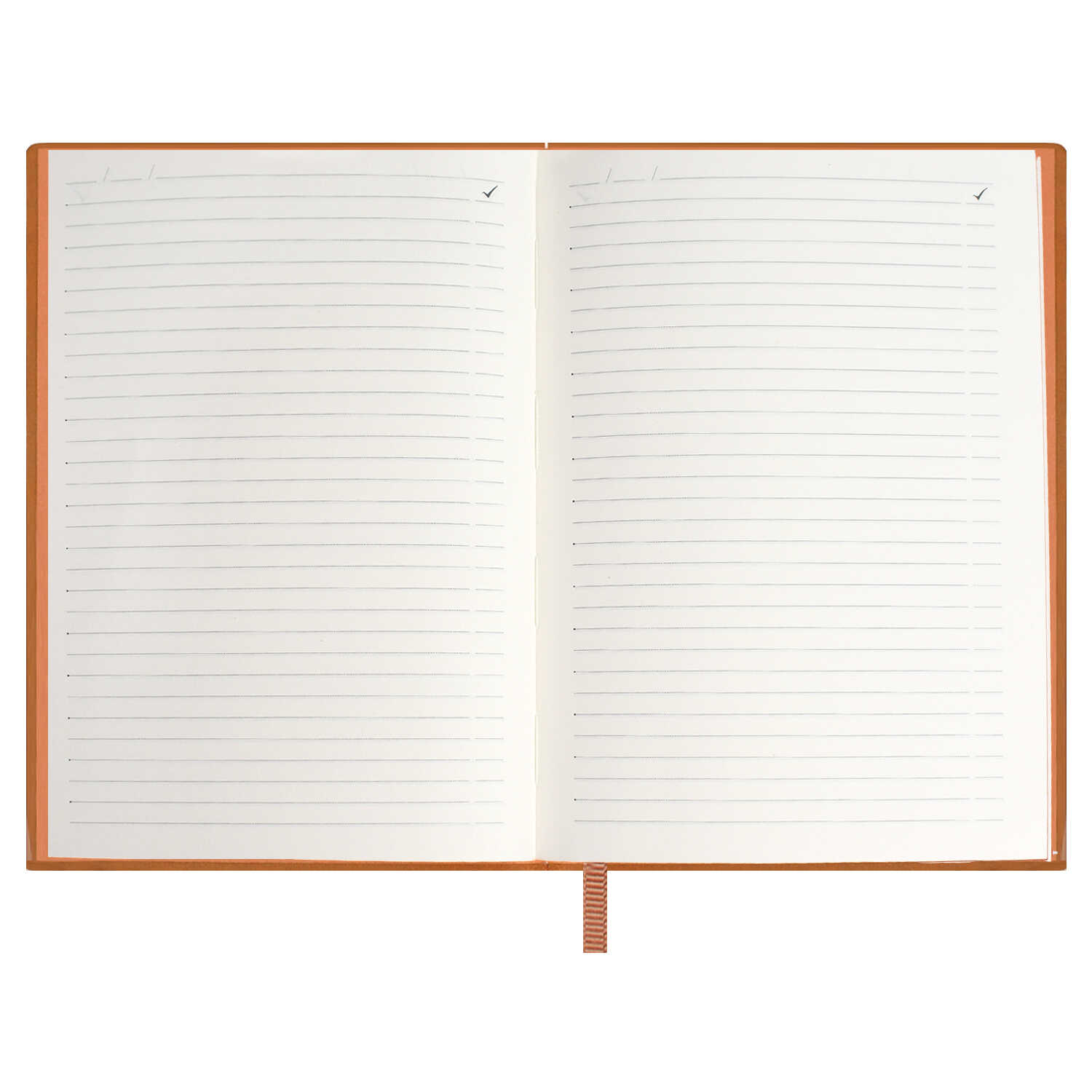 Ежедневник Феникс + ESCALADA 160 лист. - фото 17