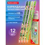 Карандаши Brauberg