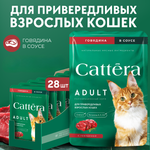 Корм влажный Cattera консервированный полнорационный с говядиной в соусе для взрослых кошек