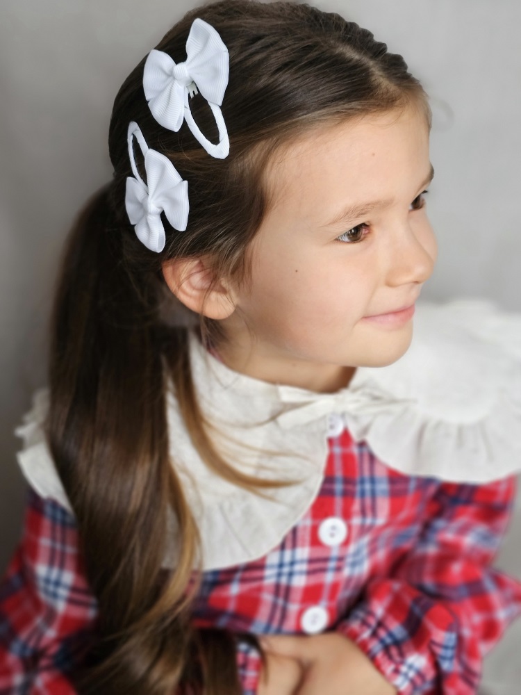 Заколка 2 шт LOVE&BOW CB605 - фото 1