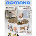 Сухой бассейн ROMANA Лес