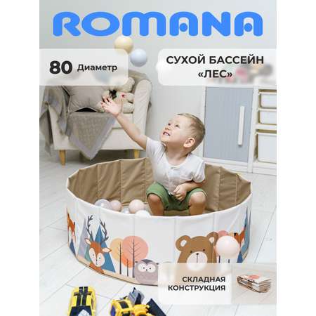 Сухой бассейн ROMANA Лес