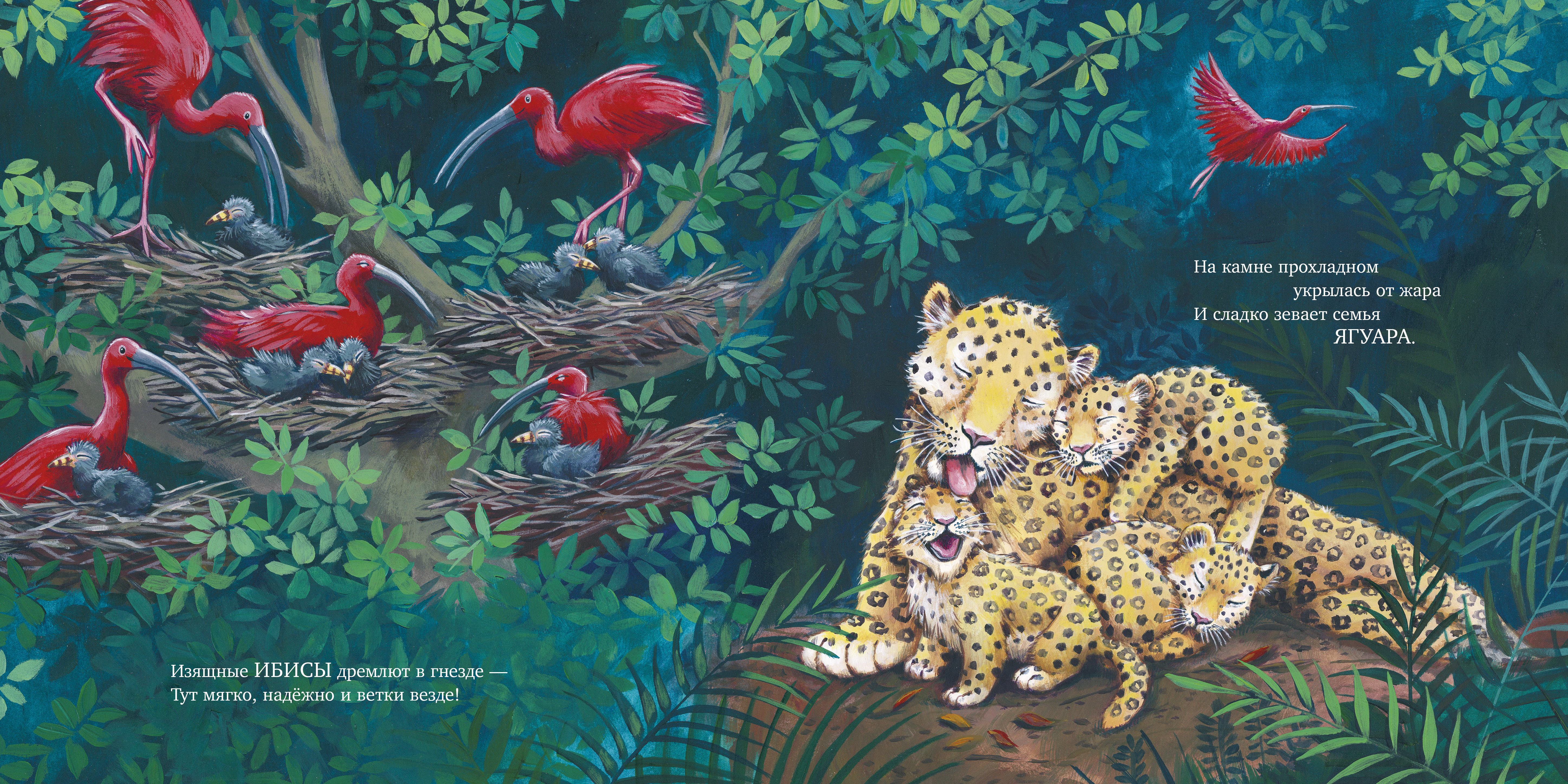 Книга Clever Книжки-картинки - фото 6