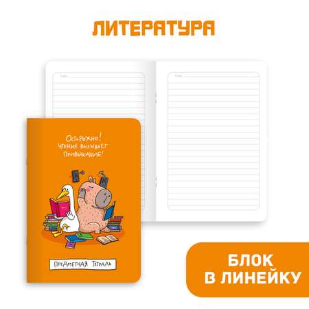 Тетрадь Проф-Пресс 40 лист. 4 шт. (Литература, География, История, Иностранный язык)
