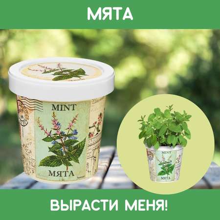 Набор для выращивания Rostok Visa