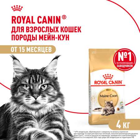 Корм сухой для кошек ROYAL CANIN Maine Coon 4кг породы мейн-кун