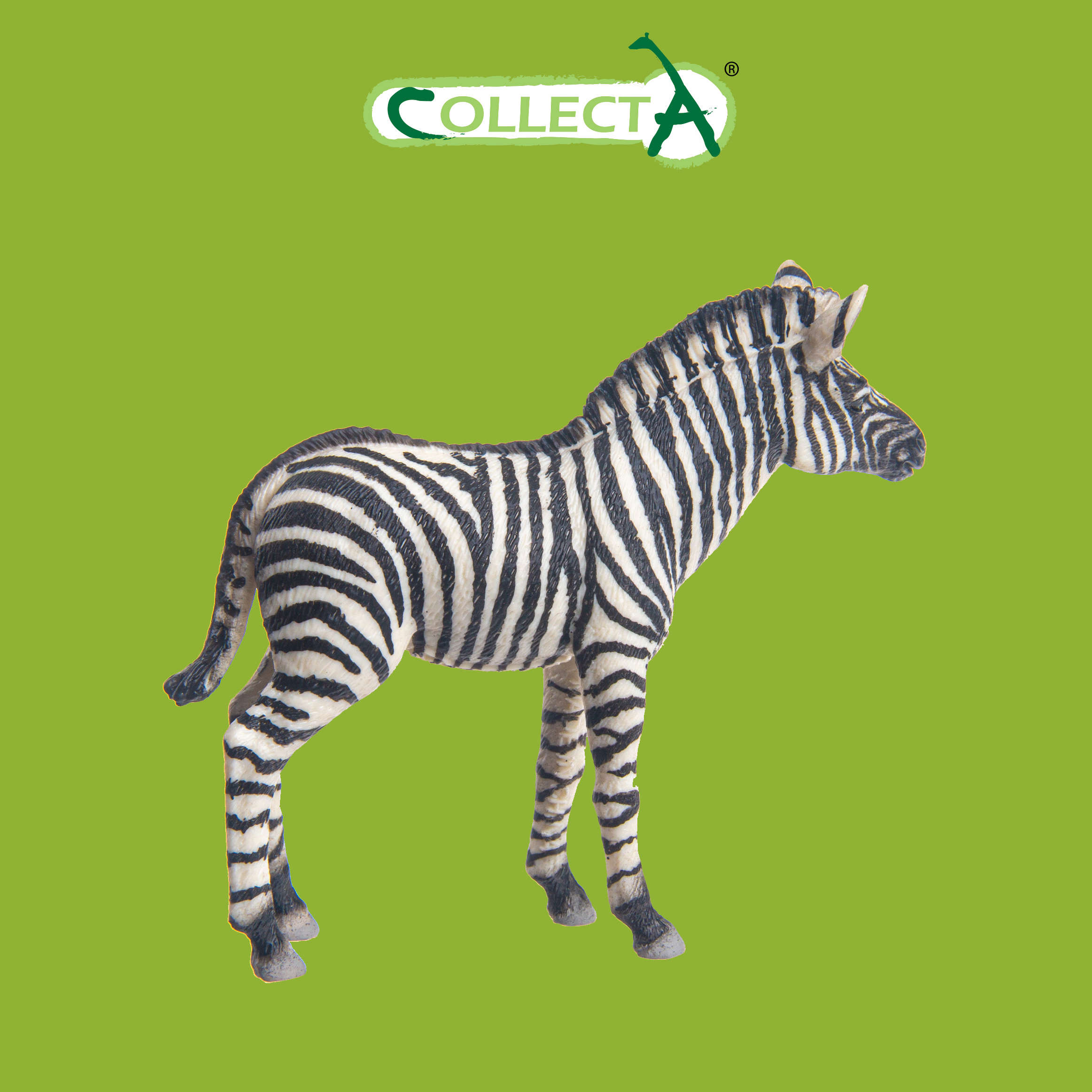 Фигурка Collecta Жеребенок зебры - фото 1