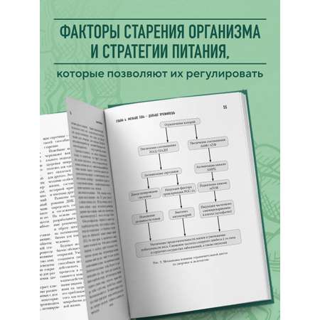 Книга БОМБОРА Кишечник долгожителя. 7 принципов диеты
