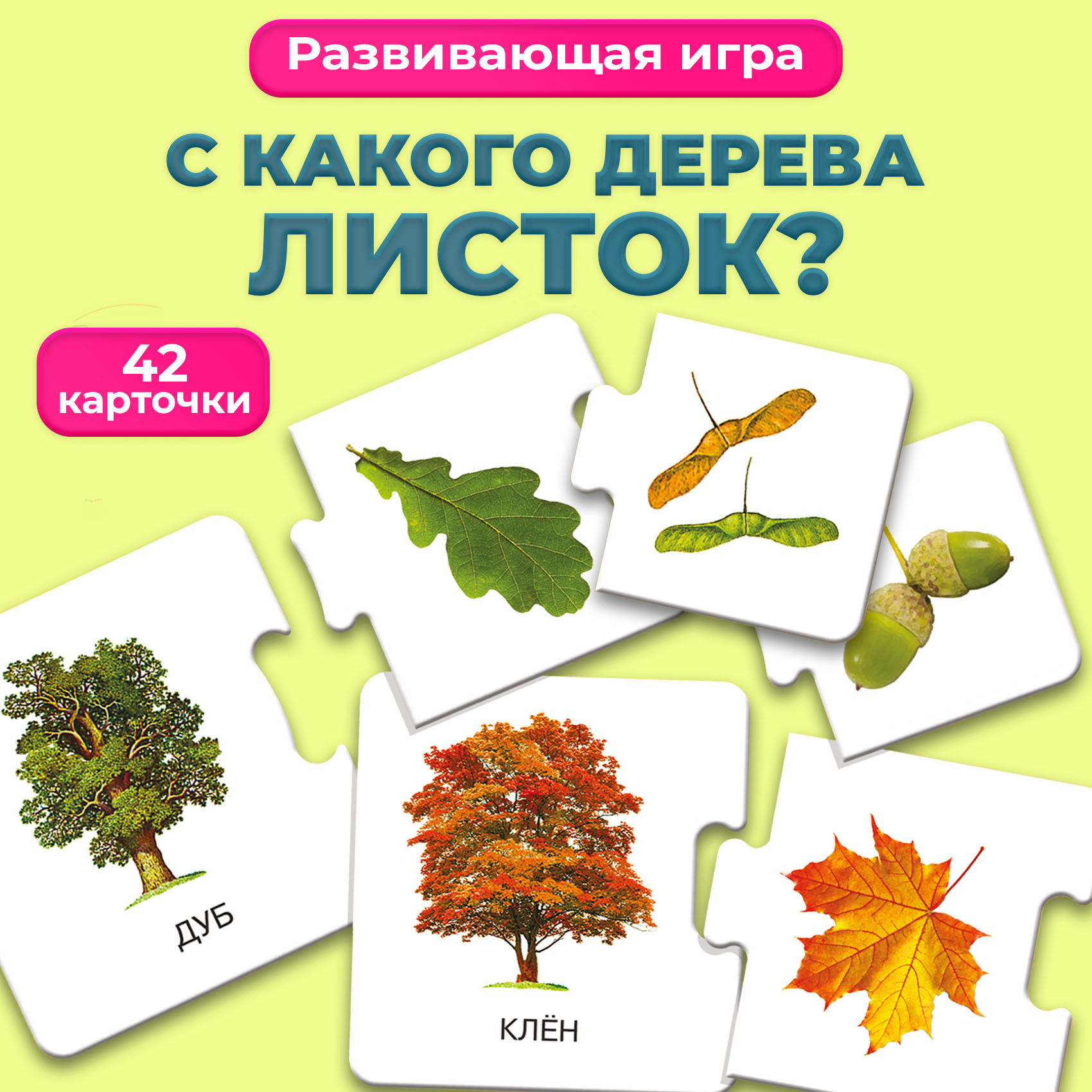 Развивающая игра Дрофа-Медиа С какого дерева листок 2896 - фото 1