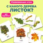 Развивающая игра Дрофа-Медиа С какого дерева листок 2896