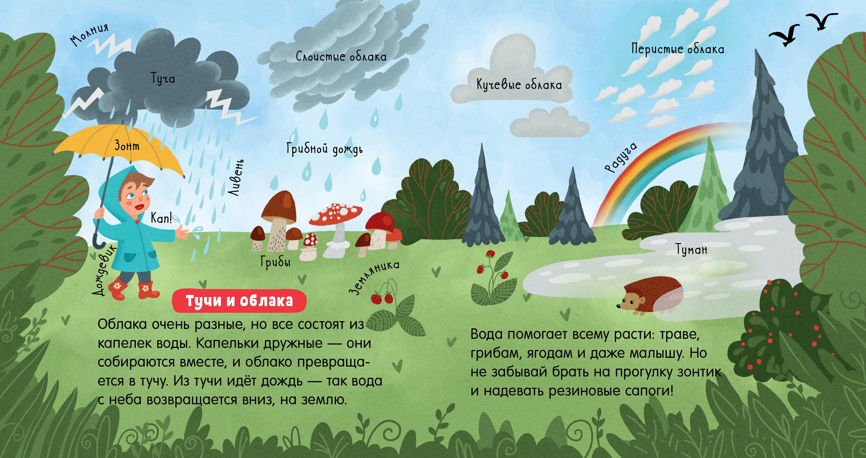 Книга Clever Издательство Наука для малышей. Вода - фото 3