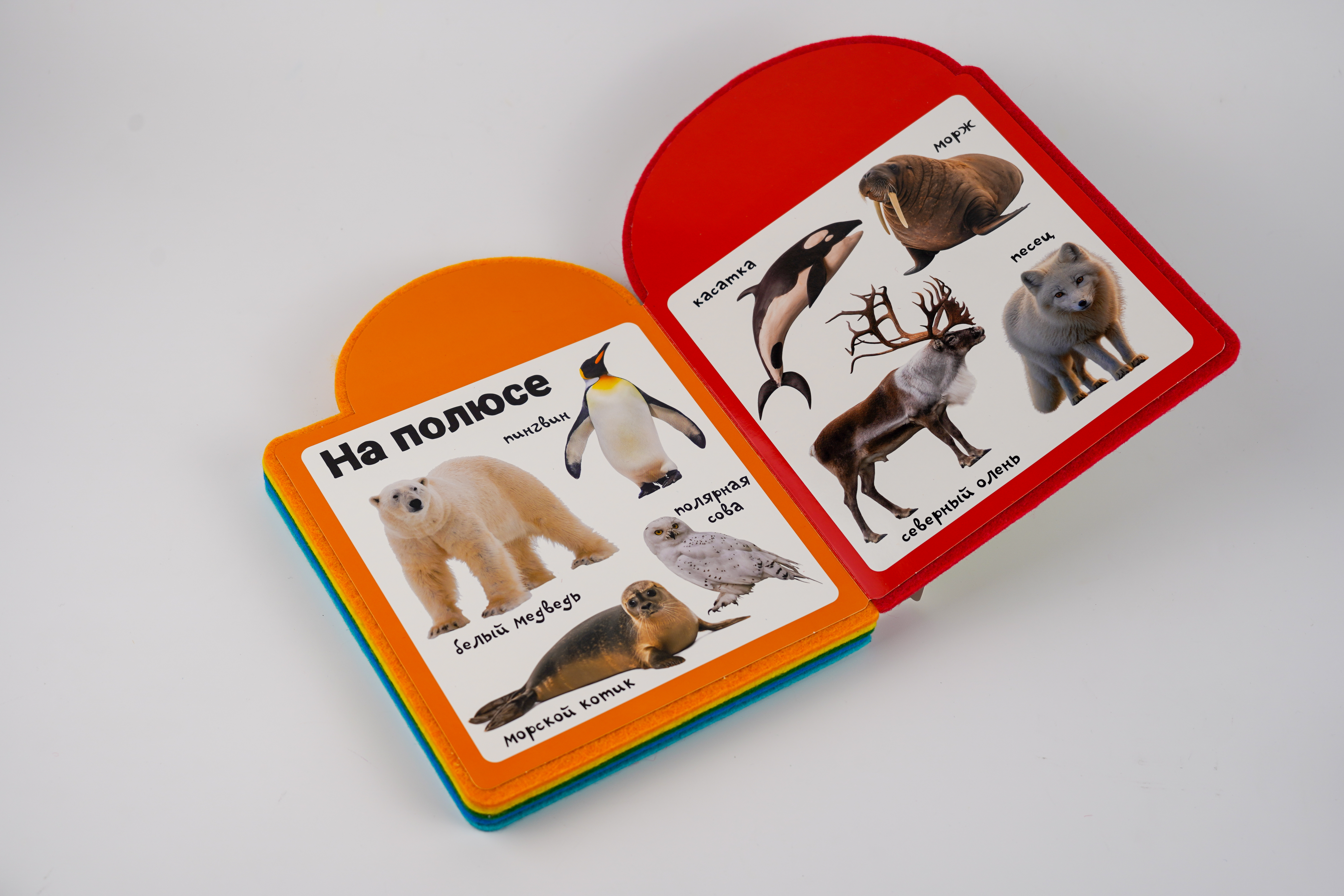 Книга АСТ Мягкая книжка для малыша Животные - фото 3