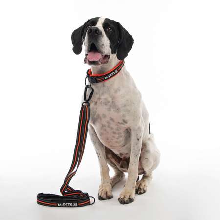 Поводок для собак M-Pets Оранж-Черн 10818399