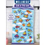 Полотенце Wellness МЕЧТА_1-53 34 x 76 см 1 шт.