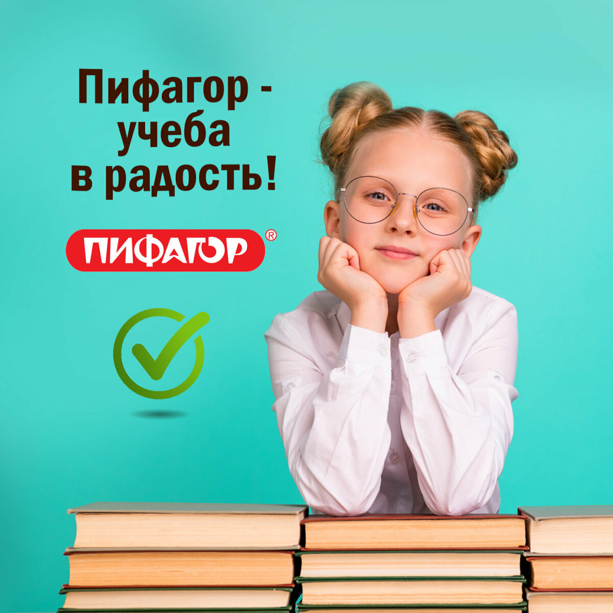 Обложка Пифагор 10 шт. - фото 6
