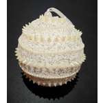 Украшение ёлочное Магия праздника NY18/024