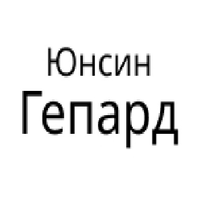 Юнсин Гепард