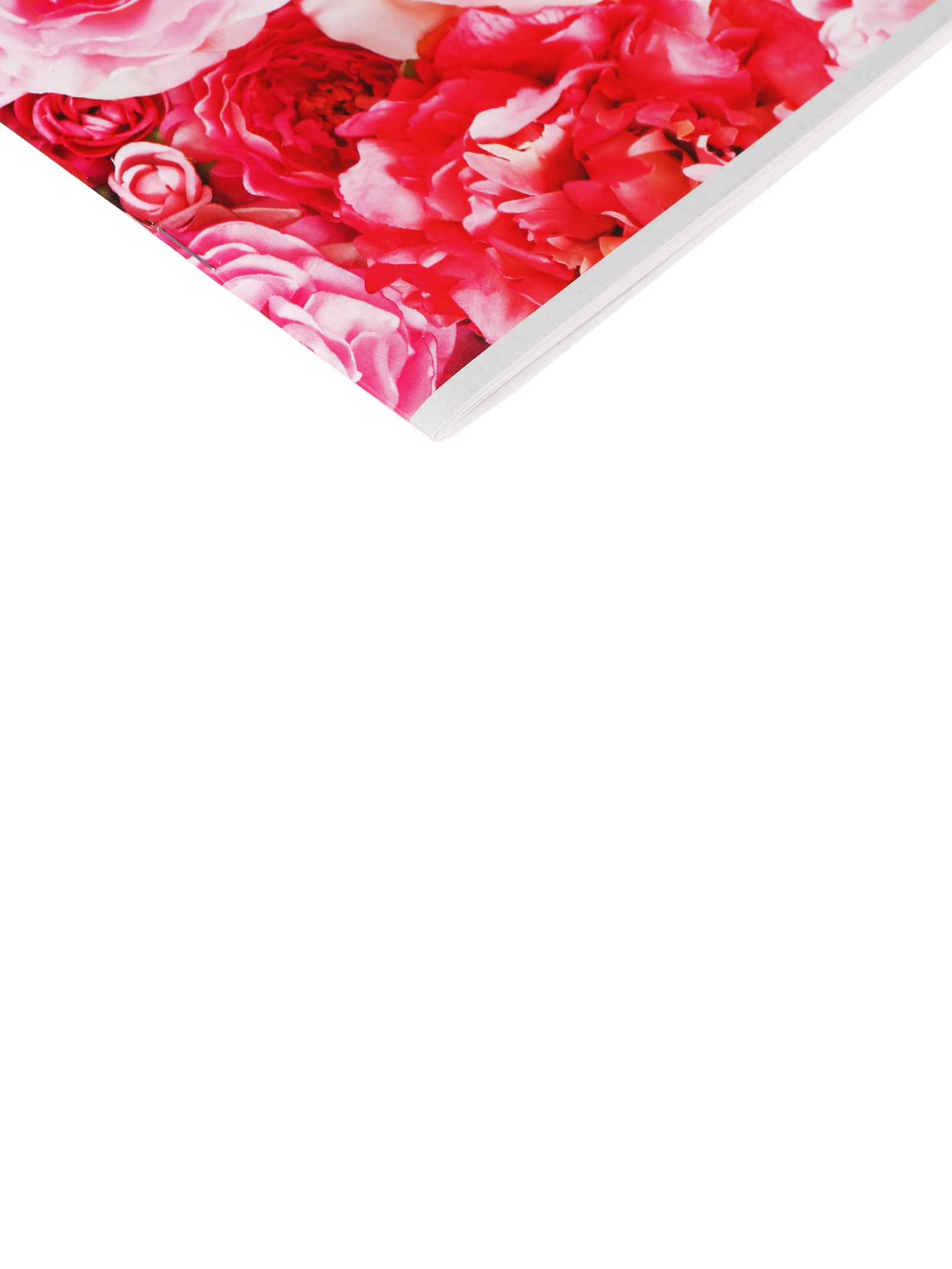 Альбом Calligrata - фото 4