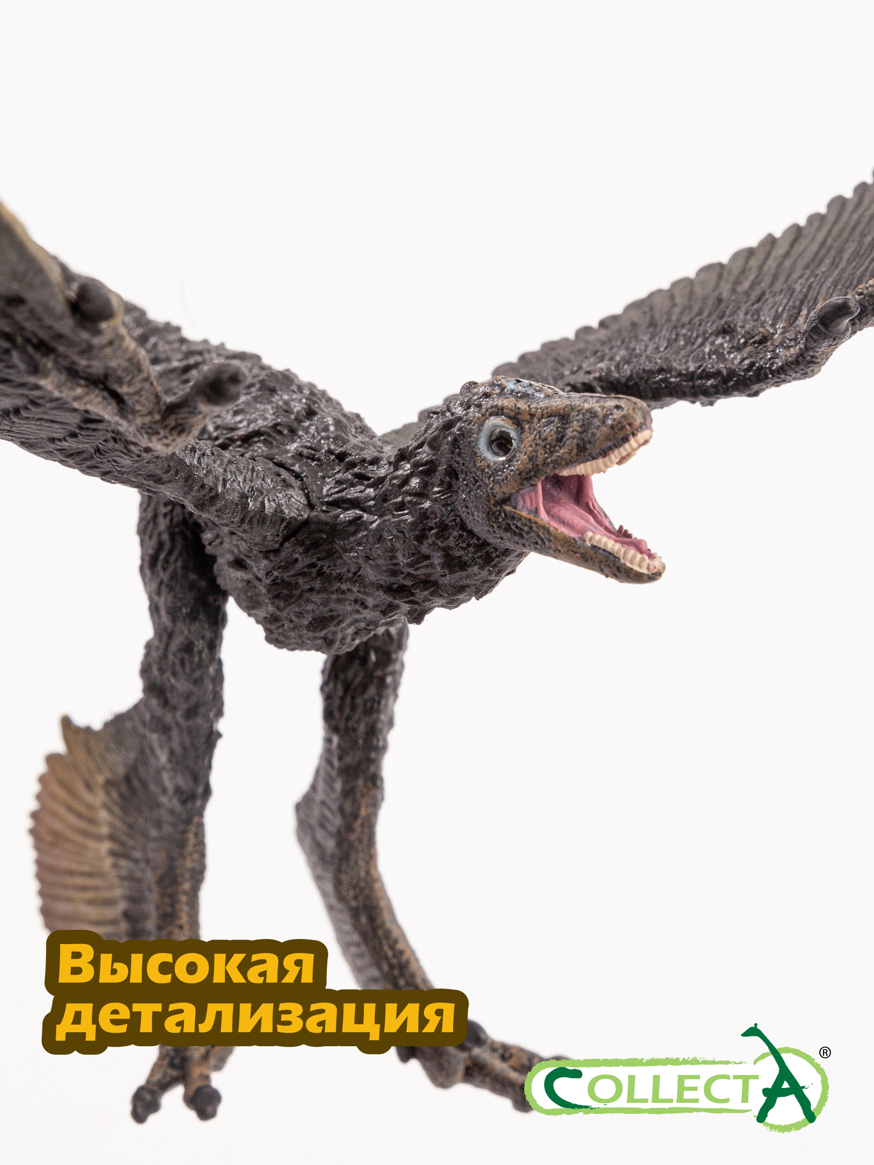 Фигурка Collecta Микрораптор - фото 3