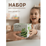Набор ECOSEEDS корнишоны