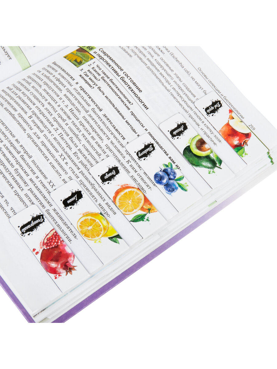 Магнитная закладка Brauberg 12 шт. - фото 12