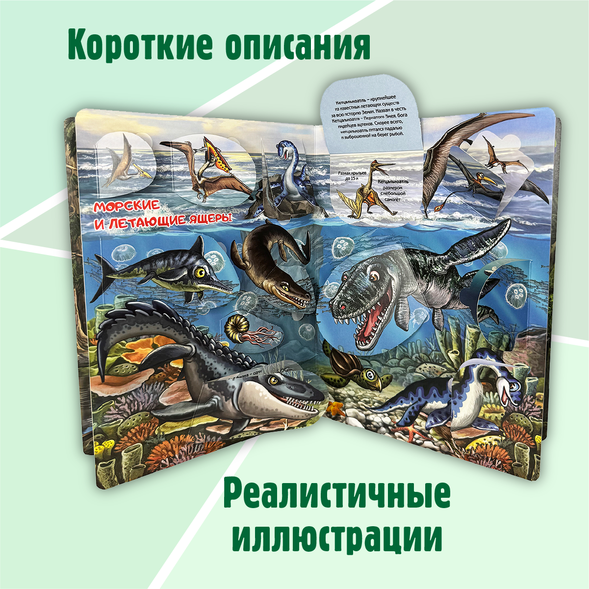 Энциклопедия с окошками БимБиМон книга детская - фото 5