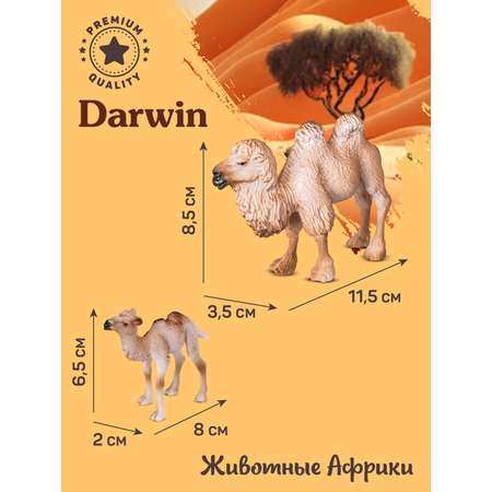 Фигурка DARWIN Двугорбый верблюд с малышом