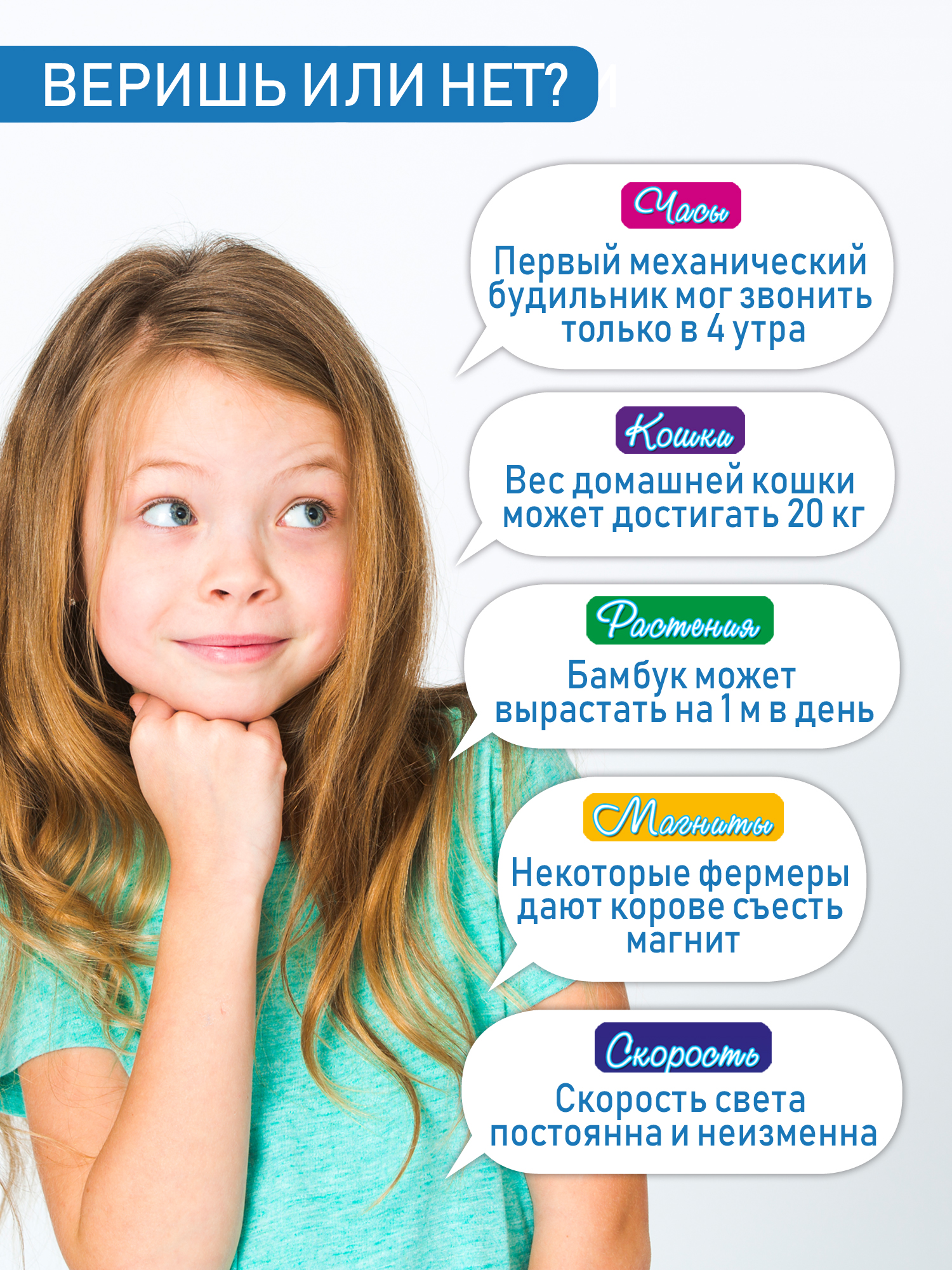 Настольная игра Дрофа-Медиа Викторина - фото 4