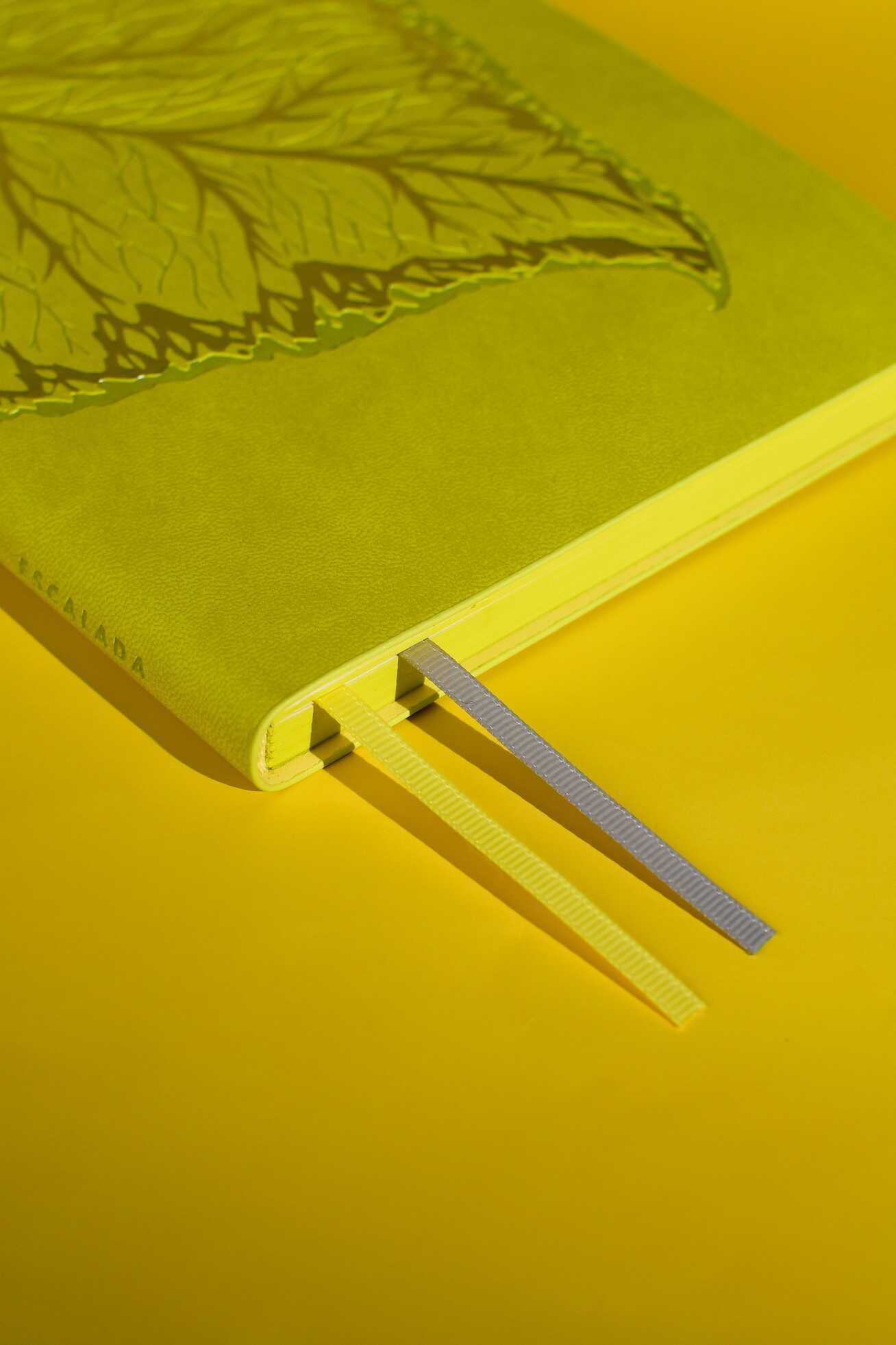 Ежедневник Феникс + ESCALADA 120 лист. - фото 7