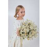 Костюм БарDuck