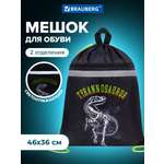 Мешок для обуви Brauberg тираннозавр