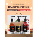 Набор сиропов SPOOM Французская карамель Ваниль Шоколад для кофе 3 шт по 250 мл и 3 помпы