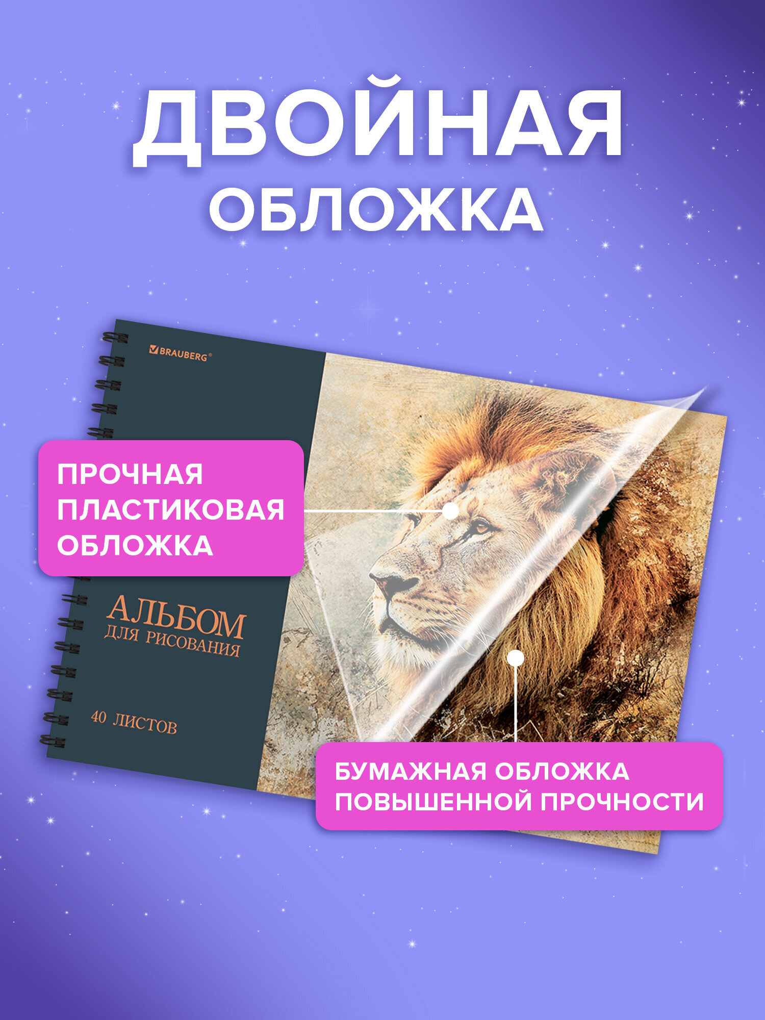 Альбом Brauberg А4 40 лист. 2 шт. - фото 2