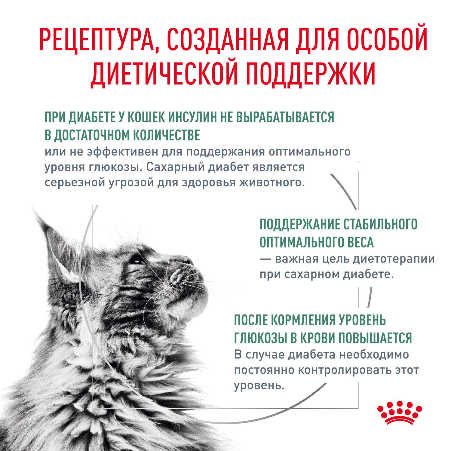 Корм для кошек влажный ROYAL CANIN Diabetic для взрослых кошек при диабете 85г - фото 2