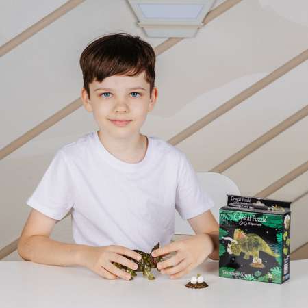 Пазл Crystal Puzzle 3D