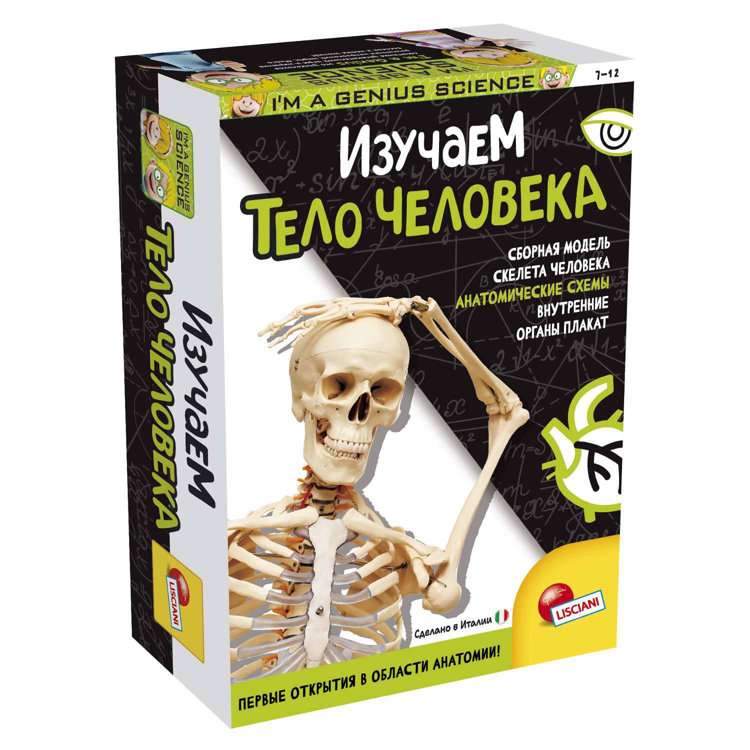 Настольная игра LISCIANI Изучаем тело человека - фото 1