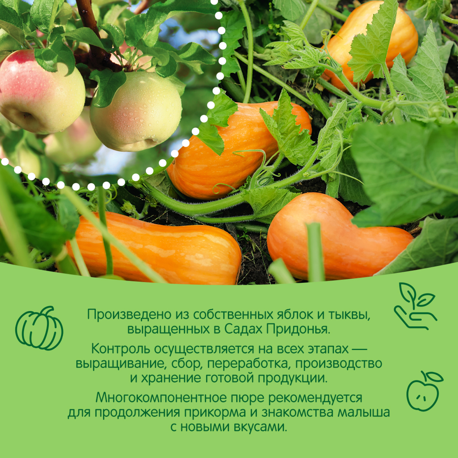 Пюре Сады Придонья Яблоко-тыква с 5 мес 125 г - фото 4