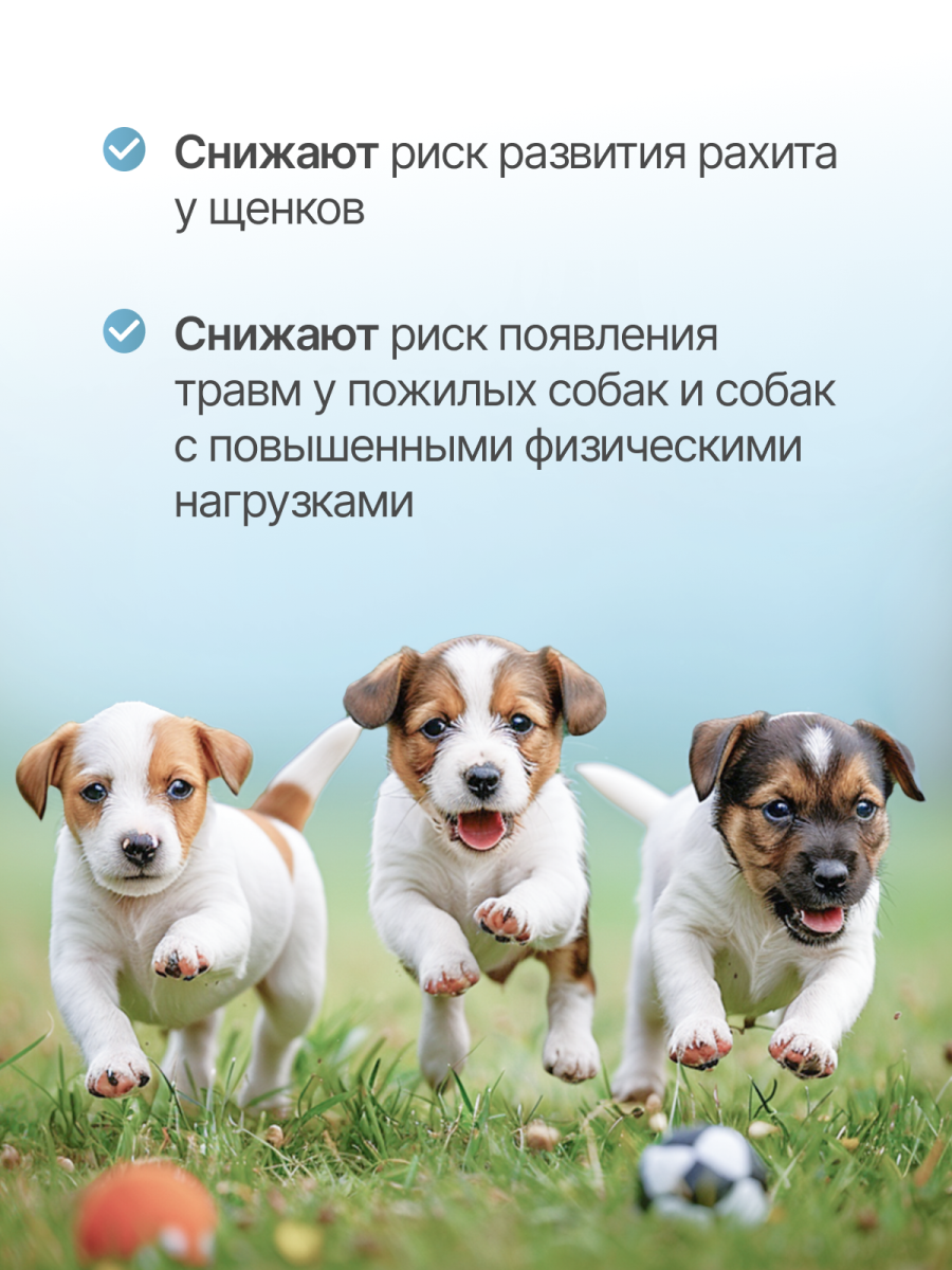 Витамины для собак и щенков GOODR HEALTH DENTAL для крепких зубов костей и суставов 100 таб. - фото 6
