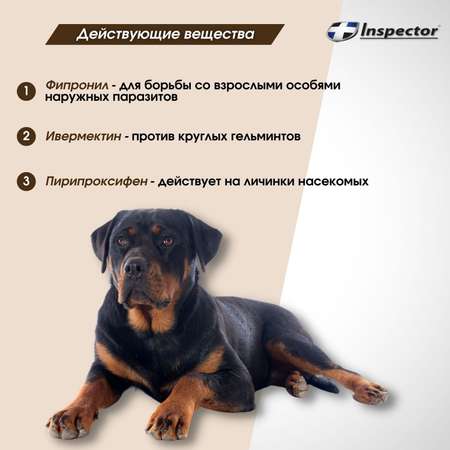 Ошейник для собак Inspector крупных пород от внешних и внутренних паразитов 75см